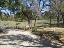 Travis County International Cemetery (24016)