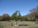 Travis County International Cemetery (24007)