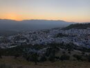 Exploring Chefchaouen (982659)