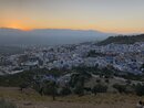 Exploring Chefchaouen (983963)