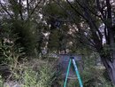 Installing New Creek Lights (1008940)