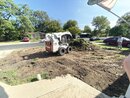 Landscaping Work (1009588)