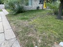 Landscaping Work (1009987)