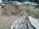 Landscaping Work (1008736)