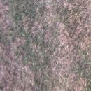 Visiting Mark at The Plant (983645)