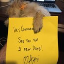 Atti's Welcome Note (988054)