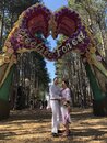Kurt and Sarah's Wedding at Electronic Forest (986833)
