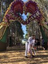 Kurt and Sarah's Wedding at Electronic Forest (984280)