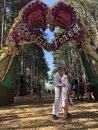 Kurt and Sarah's Wedding at Electronic Forest (986786)