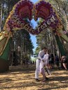Kurt and Sarah's Wedding at Electronic Forest (983762)
