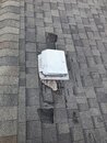 Some Minor Roof Repair (983078)