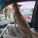 Saying Goodbye to Atters (989468)