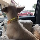 Saying Goodbye to Atters (989909)