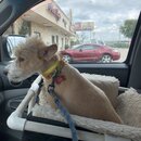 Saying Goodbye to Atters (986780)