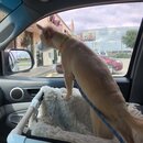 Saying Goodbye to Atters (983744)