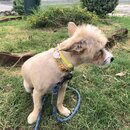 Saying Goodbye to Atters (992442)