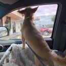 Saying Goodbye to Atters (990988)