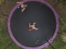 Aerial Trampoline Shots (1165751)