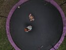 Aerial Trampoline Shots (1167708)