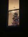 Christmas Tree Setup (1168314)