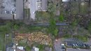Drone Shots - 2021 - Week 12 (1171132)