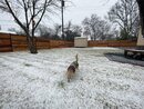 First Snow of the Season (1164830)
