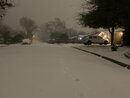 Massive Texas Winter Storm (1164754)