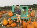 Wan Shan at the Pumpkin Patch (1164829)