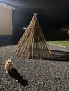 Atti with the Backyard Teepee (1165431)