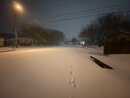 Massive Texas Winter Storm (1165317)