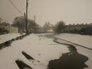 Massive Texas Winter Storm (1166151)