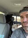 Taking Baxter and Atti Out (1166278)