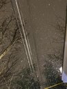 Massive Texas Winter Storm (1166519)