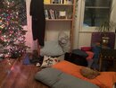 Christmas Tree Setup (1167133)