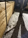 Massive Texas Winter Storm (1166832)