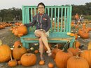 Wan Shan at the Pumpkin Patch (1167925)