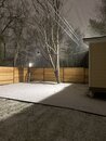 Massive Texas Winter Storm (1168338)
