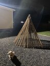 Atti with the Backyard Teepee (1168113)
