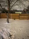 Texas Winterstorm (1168014)