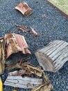 Turning Cedar Logs into Boards (1168511)
