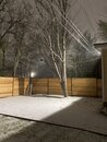 Massive Texas Winter Storm (1168899)