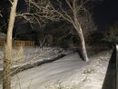 Massive Texas Winter Storm (1168928)