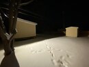 Massive Texas Winter Storm (1168919)