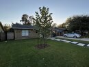 Visiting with Friends in Austin (1168776)
