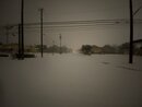 Massive Texas Winter Storm (1169150)
