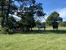 Working at the Smithville Ranch (1169678)