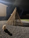 Atti with the Backyard Teepee (1169804)