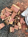 Turning Cedar Logs into Boards (1169862)