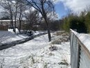 Massive Texas Winter Storm (1169990)