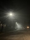 Foggy Night in the Neighborhood (1170465)
